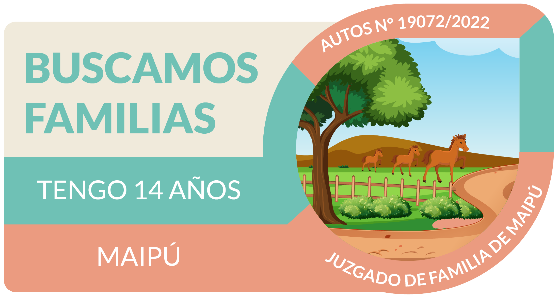 L - 14 AÑOS-01