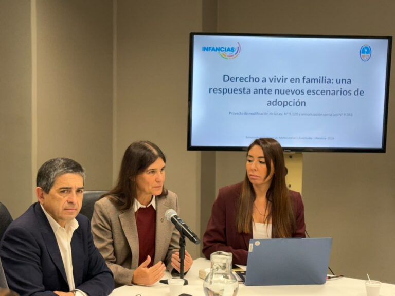 La ministra Day expuso en la Legislatura sobre el proyecto que busca acelerar los procesos de adopción