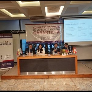 Sexto Panel - segunda parte