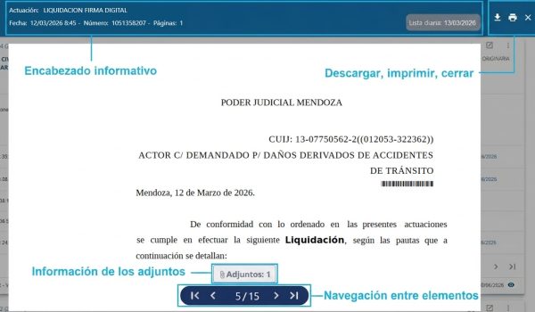 imagen novedad Ver como libro